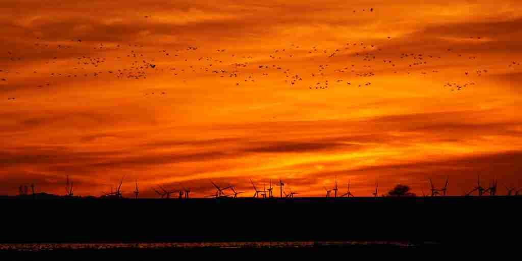 Our Next Five Years of Climate Action Our Next Five Years of Climate Action