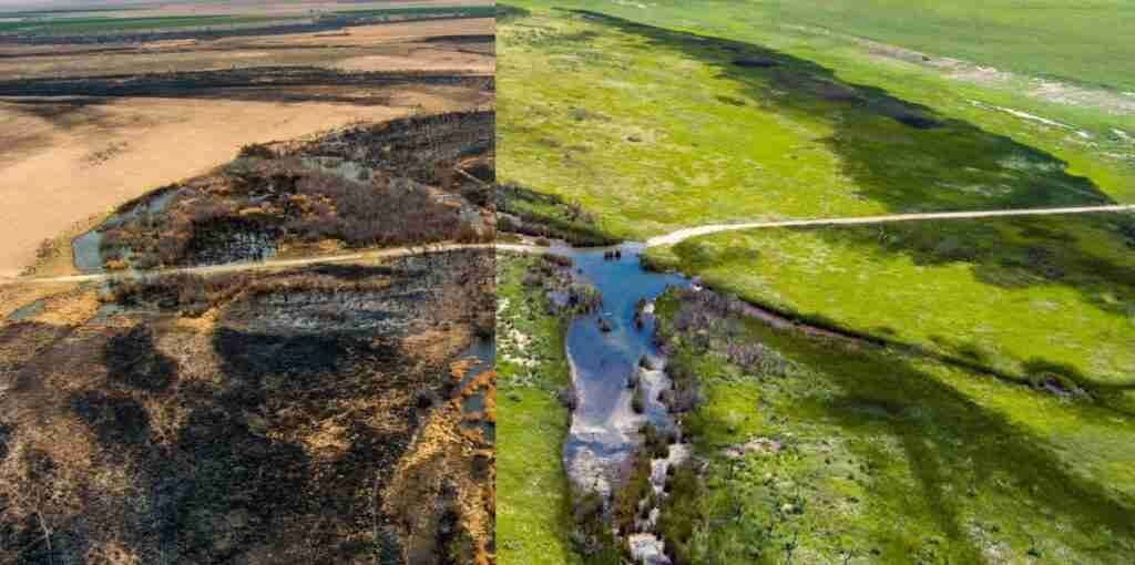 After the Fire: How A Sustainable Ranch Survived a Natural Wildfire After the Fire: How A Sustainable Ranch Survived a Natural Wildfire