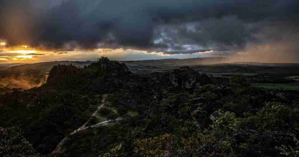 The Cerrado, the World’s Most Biodiverse Tropical Savannah, Is in Peril The Cerrado, the World’s Most Biodiverse Tropical Savannah, Is in Peril