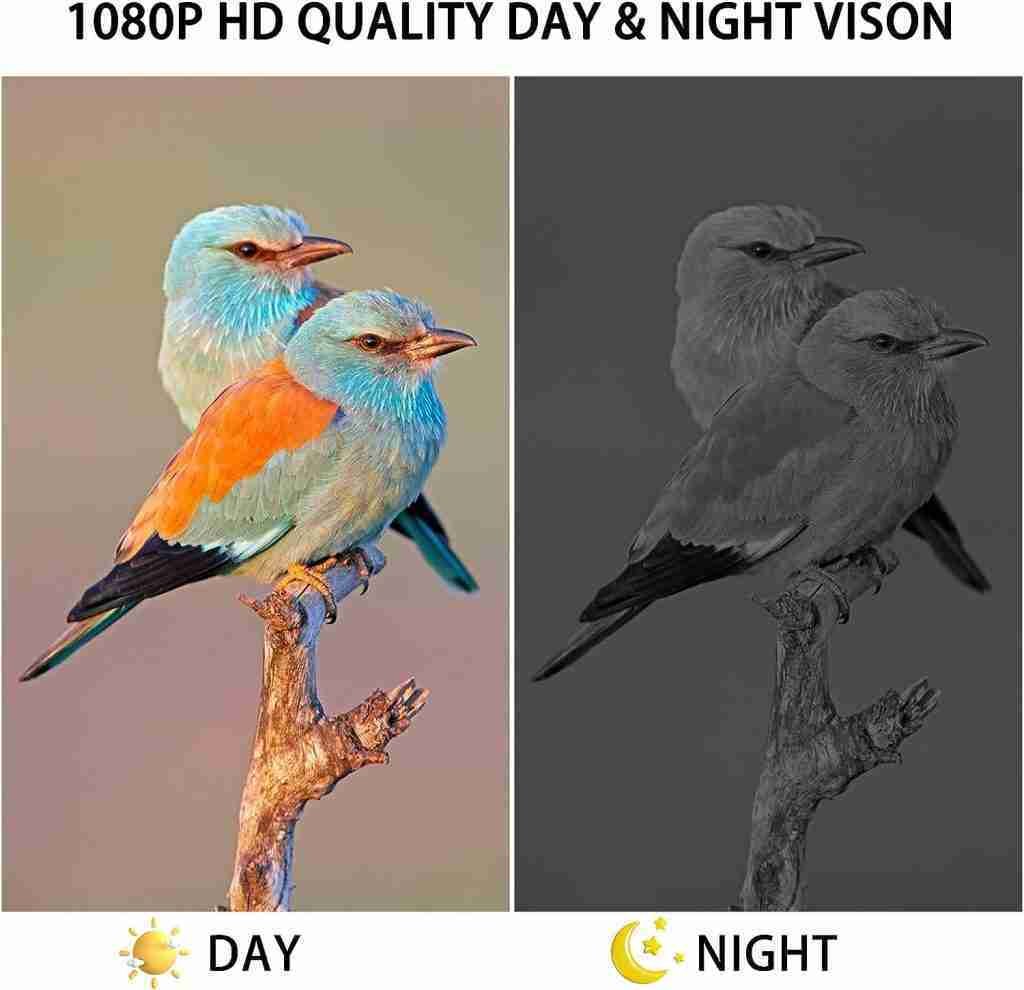 Bird Feeder with Camera, Prodico Smart Bird Feeder with Solar Powered, Automatic AI Video Capture, WiFi  Bluetooth Connection, Free 64G SD Card Bird Feeder with Camera, Prodico Smart Bird Feeder with Solar Powered, Automatic AI Video Capture, WiFi  Bluetooth Connection, Free 64G SD Card