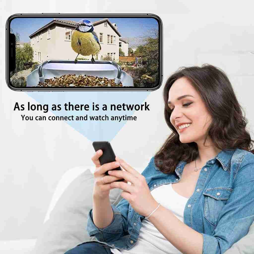 Comparing Bird Feeder Cameras: Relassy vs. Wireless vs. Dimgamo Comparing Bird Feeder Cameras: Relassy vs. Wireless vs. Dimgamo