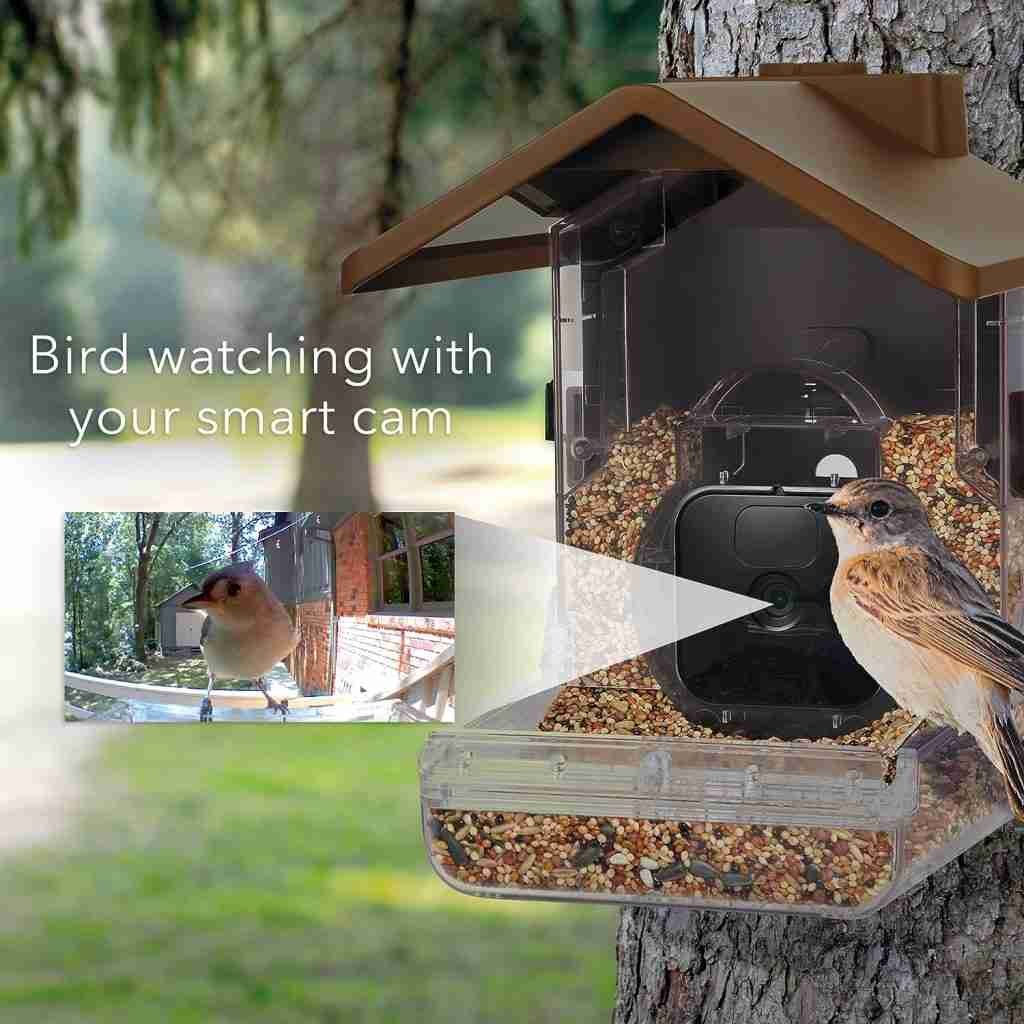 Wasserstein Bird Feeder Camera Case Compatible with Blink, Wyze, and Ring Cam for Bird Watching with Your Security Cam - (Camera NOT Included) Wasserstein Bird Feeder Camera Case Compatible with Blink, Wyze, and Ring Cam for Bird Watching with Your Security Cam - (Camera NOT Included)