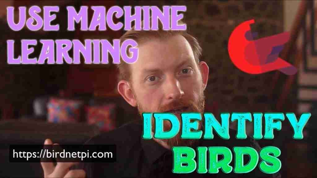 An Overview of BirdNET-Pi Software on Raspberry Pi 4 in Mexico An Overview of BirdNET-Pi Software on Raspberry Pi 4 in Mexico