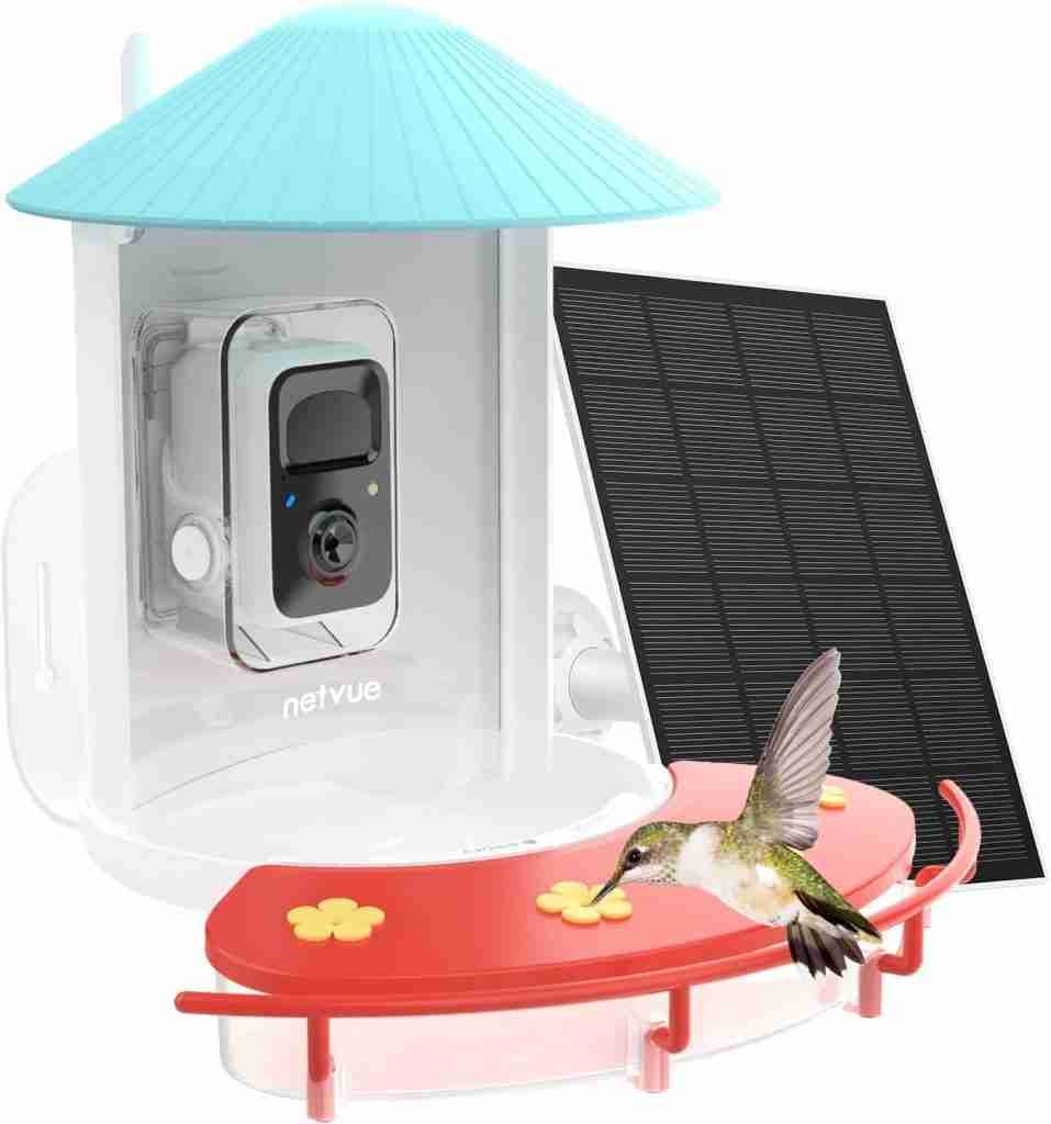 NETVUE Birdfy Hummee Review NETVUE Birdfy Hummee Review