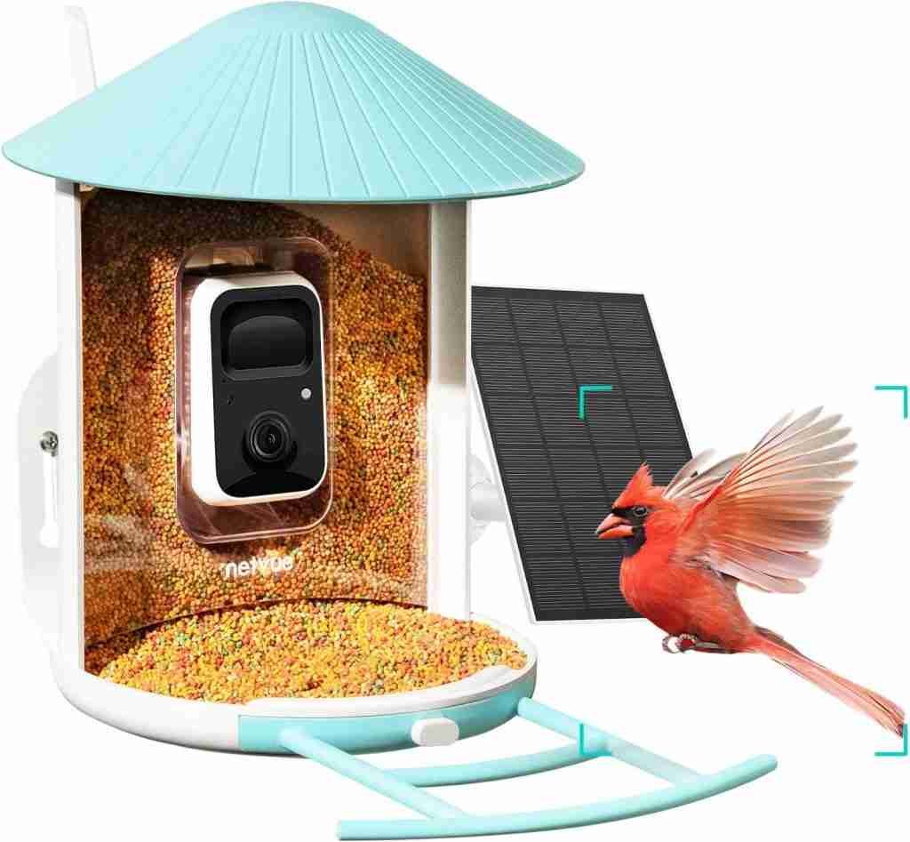 NETVUE Birdfy Lite – Smart Bird Feeder with Camera Review NETVUE Birdfy Lite – Smart Bird Feeder with Camera Review
