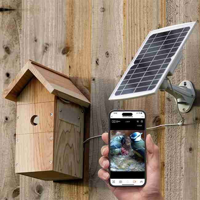 Smartphone monitoring solar-powered birdhouse camera.
