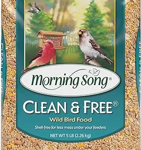 10-Pound Bag of Morning Song Clean & Free Shell Free Wild Bird Food – Premium No Mess Seed for Outdoor Feeders 10-Pound Bag of Morning Song Clean & Free Shell Free Wild Bird Food – Premium No Mess Seed for Outdoor Feeders