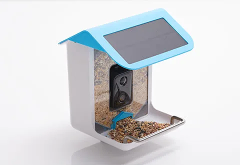 Solar-powered bird feeder on white background.
