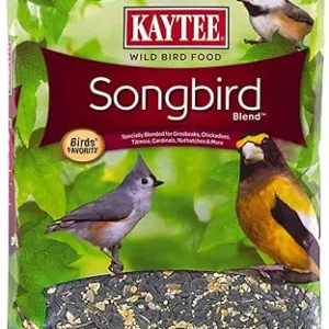 7 Pound Kaytee Wild Bird Songbird Blend Food Seed 7 Pound Kaytee Wild Bird Songbird Blend Food Seed