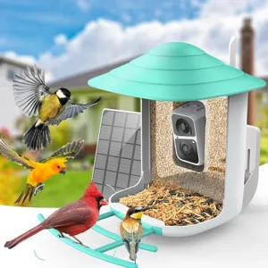 Discover the Delota Bird Feeder with Camera for Advanced Bird Watching
