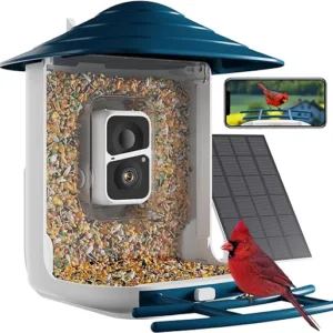 Dzees Smart Bird Feeder Camera: Enhance Your Bird Watching Experience Dzees Smart Bird Feeder Camera: Enhance Your Bird Watching Experience