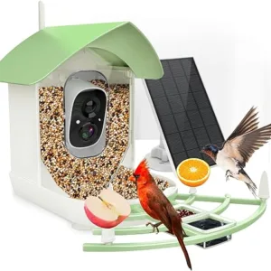 Experience Birdwatching with Fazoxo Bird Feeder Camera Experience Birdwatching with Fazoxo Bird Feeder Camera