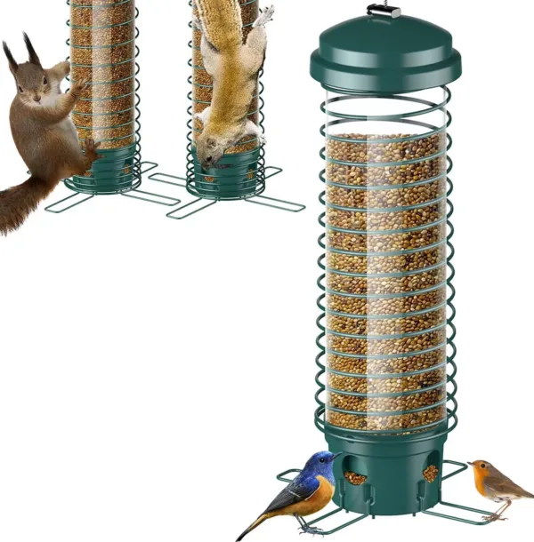 Squirrels and birds on a feeder with seeds.