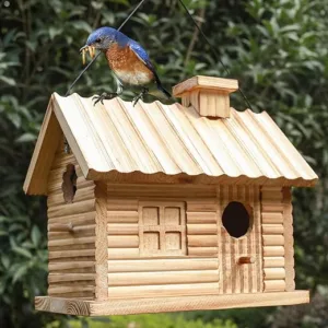 Outdoor Bird Houses: Choosing the Perfect One for Your Garden Outdoor Bird Houses: Choosing the Perfect One for Your Garden