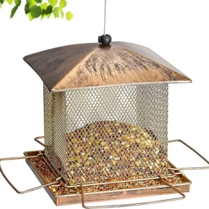 Hanging wooden bird feeder with seeds.