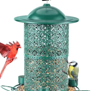 Green bird feeder with visiting birds.