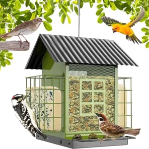 Outdoor Hanging Metal Bird Feeder with Double Suet Cage Cake – Large Capacity, Durable & Weatherproof, Easy to Clean & Refill – Ideal for Attracting Birds Outdoor Hanging Metal Bird Feeder with Double Suet Cage Cake – Large Capacity, Durable & Weatherproof, Easy to Clean & Refill – Ideal for Attracting Birds