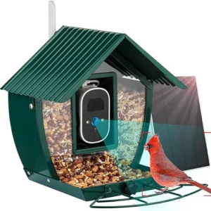 Enhance Birdwatching with InstyQ’s 4MP Camera Bird Feeder Enhance Birdwatching with InstyQ’s 4MP Camera Bird Feeder