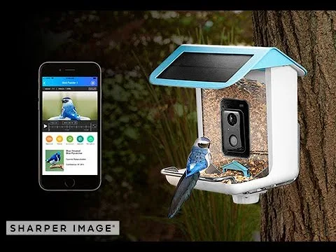 Video Camera Bird Feeder by Sharper Image Review Video Camera Bird Feeder by Sharper Image Review