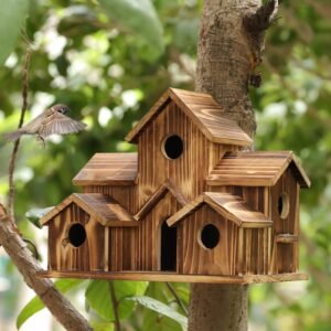 Enhance Your Outdoor Space: Exquisite Wooden Bird Houses for a Charming Garden Retreat Enhance Your Outdoor Space: Exquisite Wooden Bird Houses for a Charming Garden Retreat