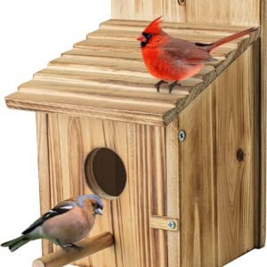 Transform Your Garden: Premium Wooden Bird Houses for Outside – Perfect for Nature Lovers! Transform Your Garden: Premium Wooden Bird Houses for Outside – Perfect for Nature Lovers!